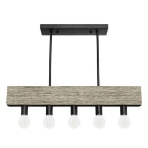 Hunter Donelson 5-Light Linear Chandelier in Brushed Iron