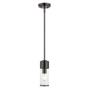 Quincy 1-Light Mini Pendant in Black Chrome