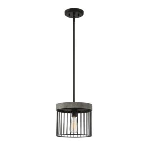 Aster 1-Light Pendant in Matte Black