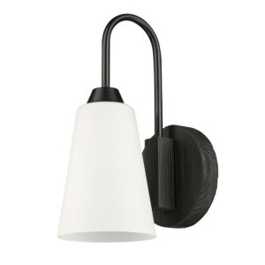 Neela 1-Light Wall Sconce in Matte Black