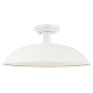 Farmley 1-Light Ceiling Mount