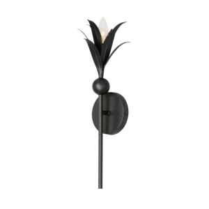 Paloma One Light Wall Sconce in Anthracite by Maxim