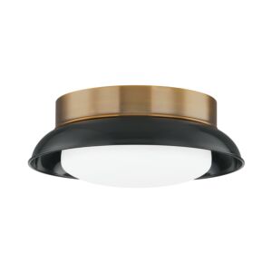 Arnie Two Light Flush Mount in Patina Brass by Troy Lighting