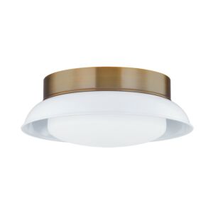 Arnie Two Light Flush Mount in Patina Brass by Troy Lighting