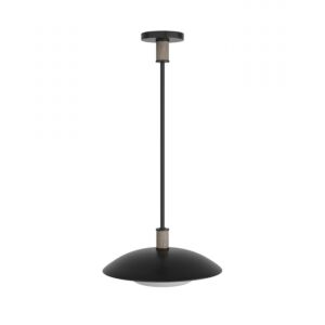 Tobias One Light Pendant in Blackened Iron by Arteriors