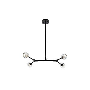 Zayne 4-Light Pendant in Black and Clear