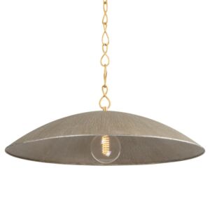 Eve One Light Pendant in Vintage Gold Leaf  Textured Warm Silver Leaf by Hudson Valley