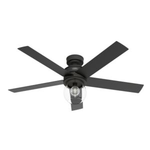 Xidane 52"Ceiling Fan in Matte Black by Hunter