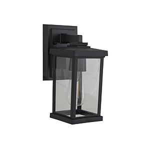 Resilience Lanterns 1-Light Outdoor Lantern in Textured Black