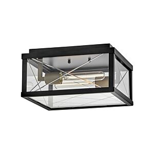 Monte 2-Light LED Flush Mount in Black