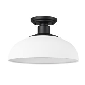 Levitt 1-Light Outdoor Semi-Flush Mount in Natural Black