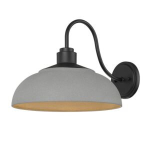 Levitt 1-Light Outdoor Wall Sconce in Natural Black