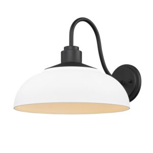 Levitt 1-Light Outdoor Wall Sconce in Natural Black