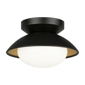 Hatley 1-Light Ceiling Mount in Black