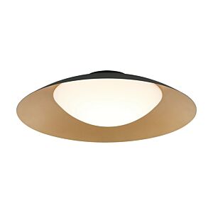 Caravon 1-Light LED Ceiling Mount in Black