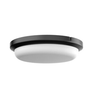 Dean LED Outdoor Flush Mount in Black by AFX Lighting