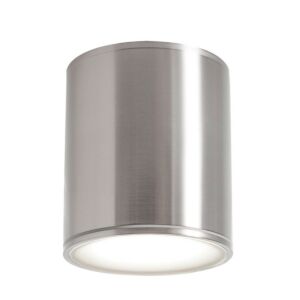 Everly LED Outdoor Ceiling Mount in Satin Nickel