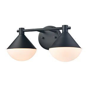 Agawa 2-Light Bathroom Vanity Light in Black