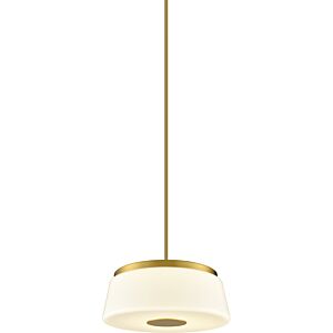 Robson Hall 16" Pendant in Brass