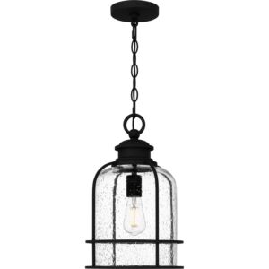 Bowles One Light Outdoor Hanging Lantern in Earth Black by Quoizel