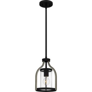 Cornelia One Light Mini Pendant in Matte Black by Quoizel