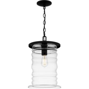 Noland One Light Outdoor Hanging Lantern in Matte Black by Quoizel