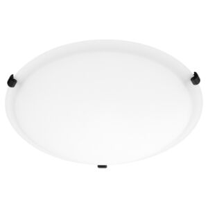 Satin Ceiling Mounts Three Light Ceiling Mount in Matte Black by Quorum International