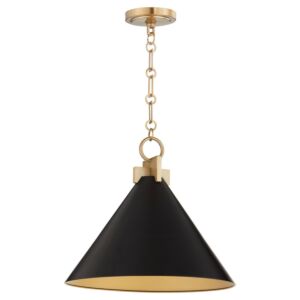 Jackson One Light Pendant in Matte Black  Aged Brass by Quorum International