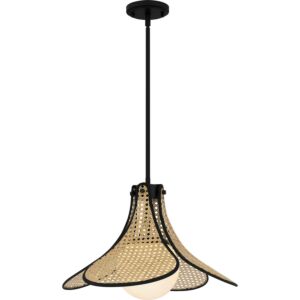 Quoizel Pendant One Light Pendant in Matte Black by Quoizel