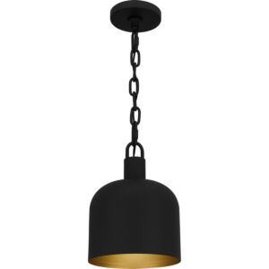 Quoizel Piccolo Pendant One Light Mini Pendant in Matte Black by Quoizel