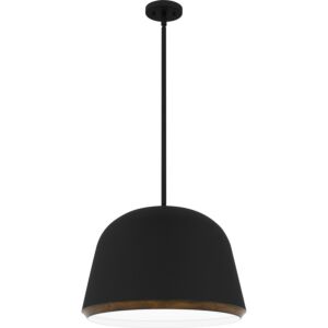 Tamara Four Light Pendant in Matte Black by Quoizel