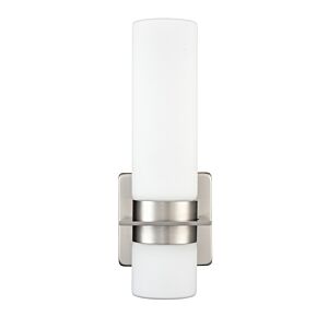 LED Outdoor Wall Sconce in Brushed Nickel