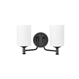 Ailey 2-Light Bathroom Vanity Light in Matte Black