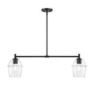 Summer Jazz 2-Light Island Pendant in Matte Black