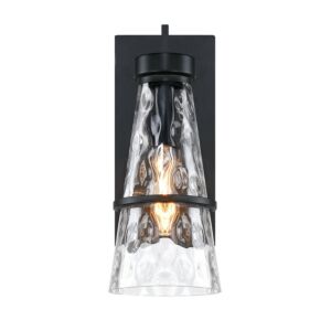 Field Daisy Lane 1-Light Outdoor Wall Sconce in Black