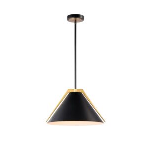 Baltic  Pendant in Black and Brushed Brass by Artcraft