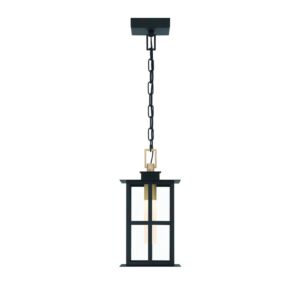 Greyson LED Pendant in Brass Black by Eurofase