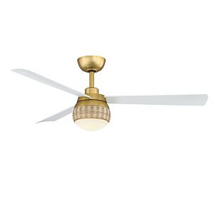 Paget 1-Light 52" Outdoor Ceiling Fan in Brushed Satin Brass