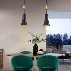 Etoile  Pendant in Matte Black by Lucas + McKearn