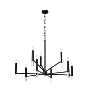 Sunjai  Chandelier in Matte Black by Hunter