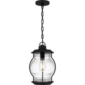 Luther One Light Outdoor Wall Mount in Earth Black by Quoizel