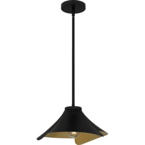 Quoizel Pendant One Light Pendant in Matte Black by Quoizel