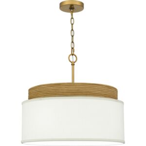 Quoizel Pendant Four Light Pendant in Brushed Gold by Quoizel