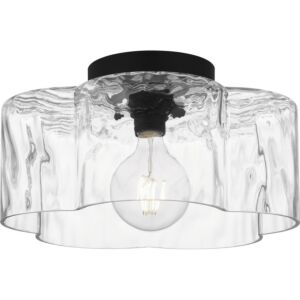 Quoizel SemiFlush Mount One Light Semi Flush Mount in Matte Black by Quoizel