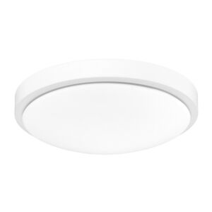 Gabi WHT 1-Light LED Flush Mount in Matte White