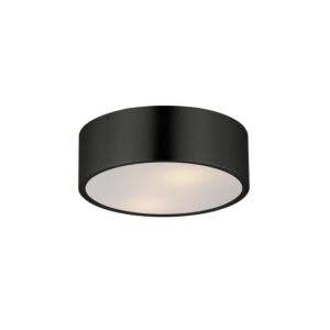 Tommy Two Light Surface Mount in Black by Maxim