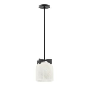 Scoop One Light Pendant in Black by Maxim