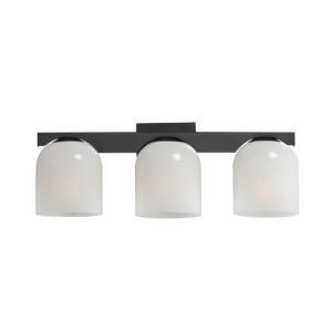 Scoop Three Light Bath Vanity in Black by Maxim