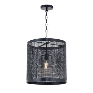 Hatcher One Light Pendant in Black by Maxim