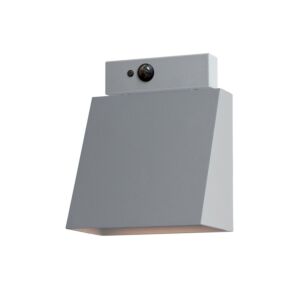 Pathfinder LED Outdoor Wall Sconce in Silver by Maxim